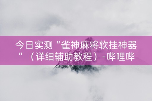 今日实测“雀神麻将软挂神器”（详细辅助教程）-哔哩哔哩