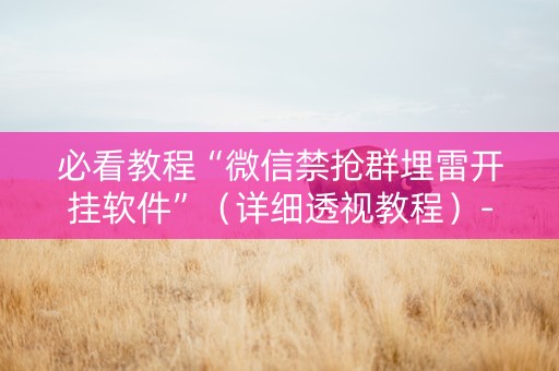 必看教程“微信禁抢群埋雷开挂软件”（详细透视教程）-哔哩哔哩