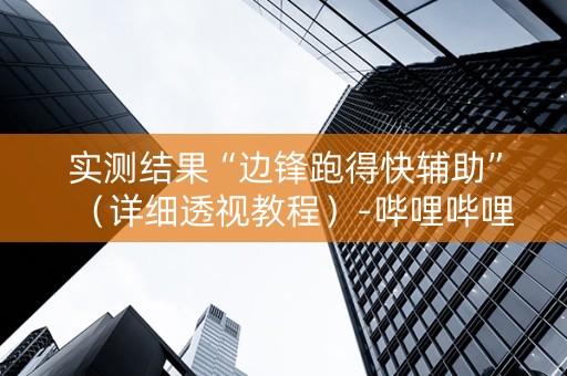 实测结果“边锋跑得快辅助”（详细透视教程）-哔哩哔哩