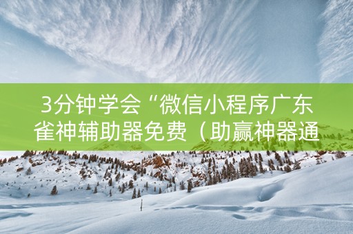 3分钟学会“微信小程序广东雀神辅助器免费（助赢神器通用版）
