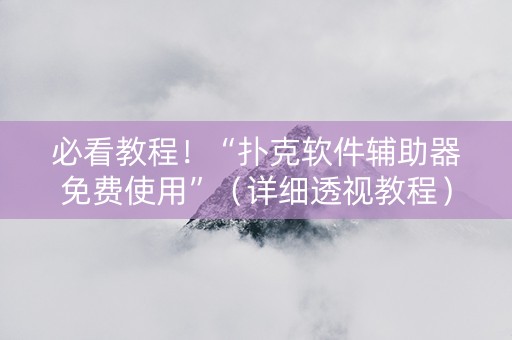 必看教程！“扑克软件辅助器免费使用”（详细透视教程）-哔哩哔哩