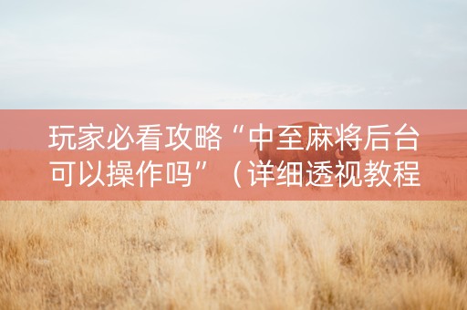 玩家必看攻略“中至麻将后台可以操作吗”（详细透视教程）-哔哩哔哩