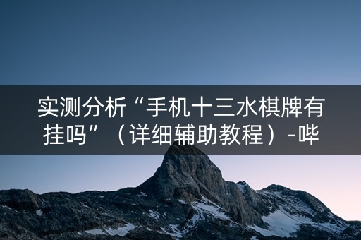 实测分析“手机十三水棋牌有挂吗”（详细辅助教程）-哔哩哔哩
