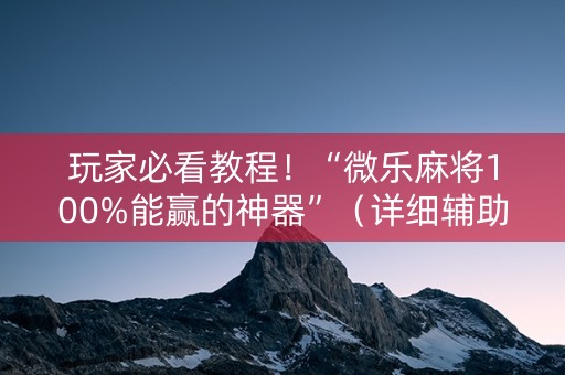 玩家必看教程！“微乐麻将100%能赢的神器”（详细辅助教程）-哔哩哔哩