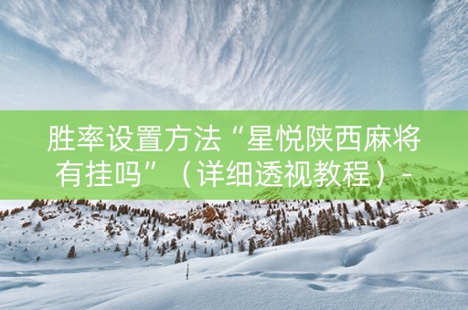 胜率设置方法“星悦陕西麻将有挂吗”（详细透视教程）-哔哩哔哩