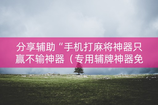 分享辅助“手机打麻将神器只赢不输神器（专用辅牌神器免安装）