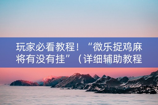 玩家必看教程！“微乐捉鸡麻将有没有挂”（详细辅助教程）-哔哩哔哩