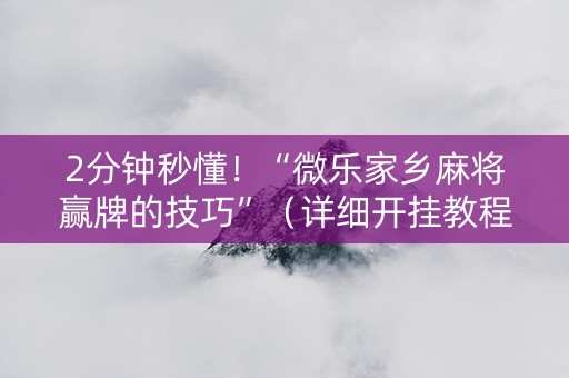 2分钟秒懂！“微乐家乡麻将赢牌的技巧”（详细开挂教程）-哔哩哔哩