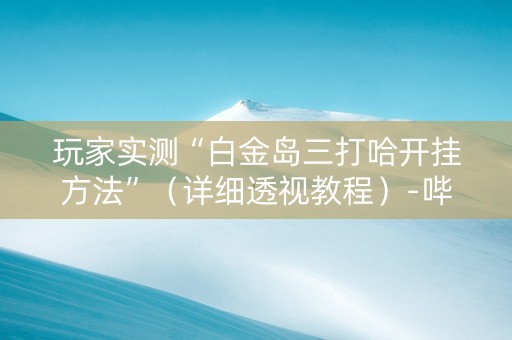 玩家实测“白金岛三打哈开挂方法”（详细透视教程）-哔哩哔哩