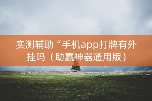 实测辅助“手机app打牌有外挂吗（助赢神器通用版）