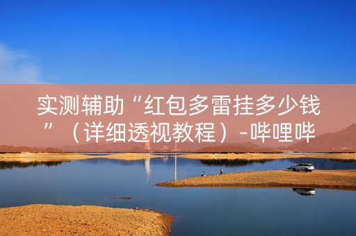 实测辅助“红包多雷挂多少钱”（详细透视教程）-哔哩哔哩