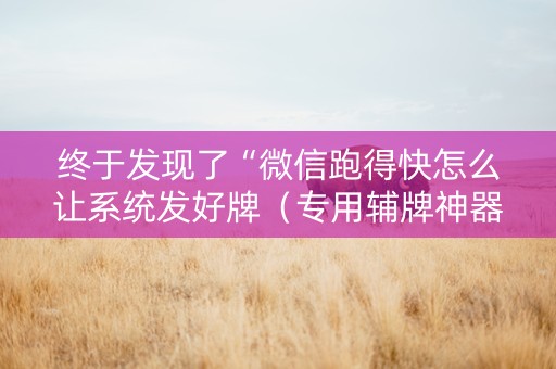 终于发现了“微信跑得快怎么让系统发好牌（专用辅牌神器免安装）