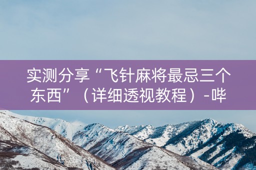 实测分享“飞针麻将最忌三个东西”（详细透视教程）-哔哩哔哩