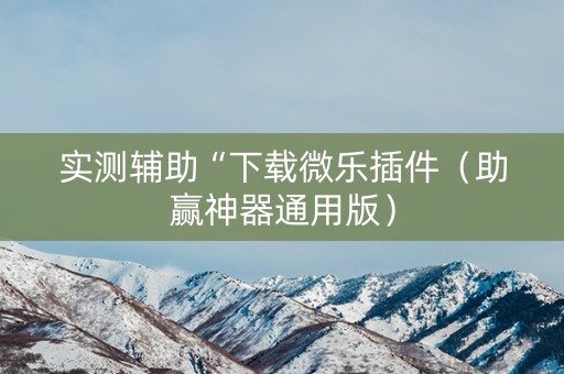 实测辅助“下载微乐插件（助赢神器通用版）