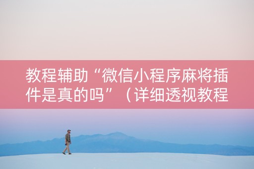 教程辅助“微信小程序麻将插件是真的吗”（详细透视教程）-哔哩哔哩