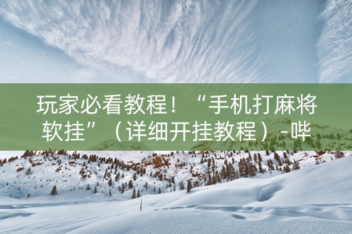 玩家必看教程！“手机打麻将软挂”（详细开挂教程）-哔哩哔哩