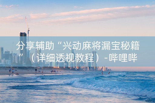 分享辅助“兴动麻将漏宝秘籍”（详细透视教程）-哔哩哔哩