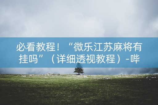 必看教程！“微乐江苏麻将有挂吗”（详细透视教程）-哔哩哔哩