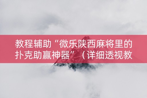 教程辅助“微乐陕西麻将里的扑克助赢神器”（详细透视教程）-哔哩哔哩