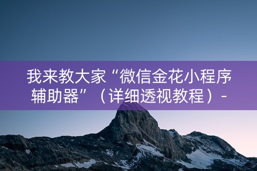 我来教大家“微信金花小程序辅助器”（详细透视教程）-哔哩哔哩