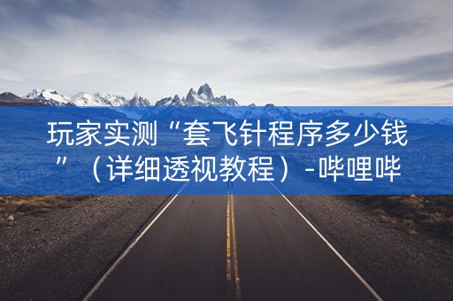 玩家实测“套飞针程序多少钱”（详细透视教程）-哔哩哔哩