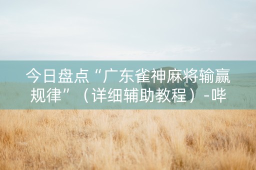 今日盘点“广东雀神麻将输赢规律”（详细辅助教程）-哔哩哔哩
