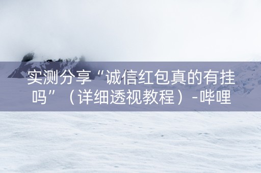 实测分享“诚信红包真的有挂吗”（详细透视教程）-哔哩哔哩