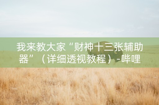 我来教大家“财神十三张辅助器”（详细透视教程）-哔哩哔哩