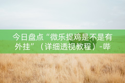 今日盘点“微乐捉鸡是不是有外挂”（详细透视教程）-哔哩哔哩