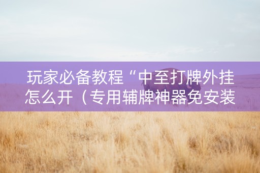 玩家必备教程“中至打牌外挂怎么开（专用辅牌神器免安装）
