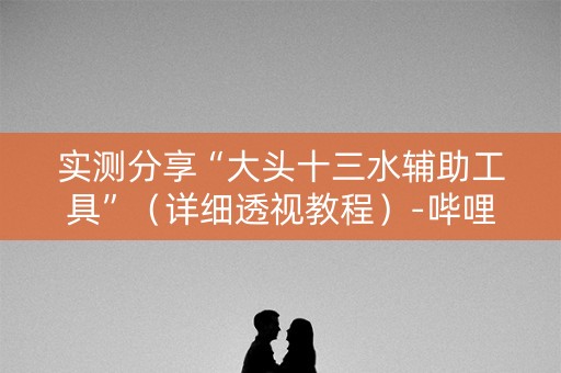 实测分享“大头十三水辅助工具”（详细透视教程）-哔哩哔哩