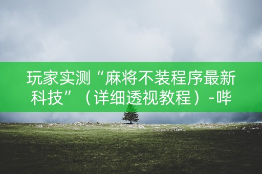 玩家实测“麻将不装程序最新科技”（详细透视教程）-哔哩哔哩