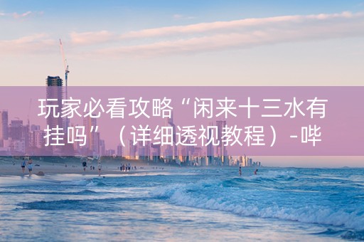 玩家必看攻略“闲来十三水有挂吗”（详细透视教程）-哔哩哔哩