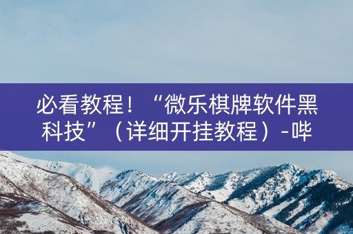 必看教程！“微乐棋牌软件黑科技”（详细开挂教程）-哔哩哔哩