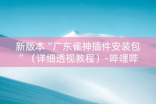 新版本“广东雀神插件安装包”（详细透视教程）-哔哩哔哩