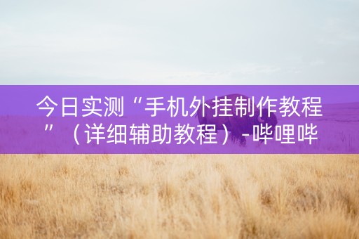 今日实测“手机外挂制作教程”（详细辅助教程）-哔哩哔哩
