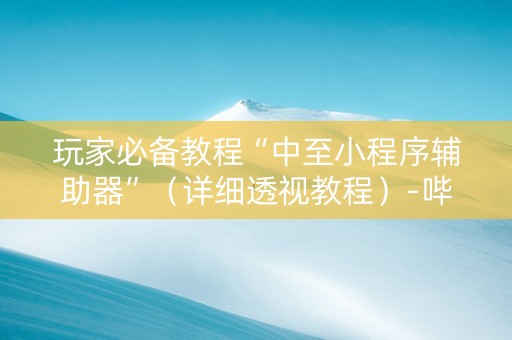 玩家必备教程“中至小程序辅助器”（详细透视教程）-哔哩哔哩