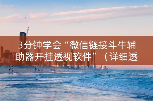 3分钟学会“微信链接斗牛辅助器开挂透视软件”（详细透视教程）-哔哩哔哩