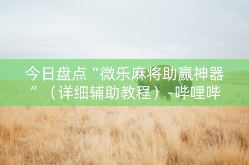 今日盘点“微乐麻将助赢神器”（详细辅助教程）-哔哩哔哩