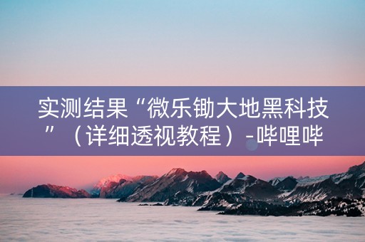 实测结果“微乐锄大地黑科技”（详细透视教程）-哔哩哔哩