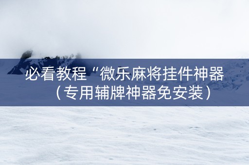 必看教程“微乐麻将挂件神器（专用辅牌神器免安装）