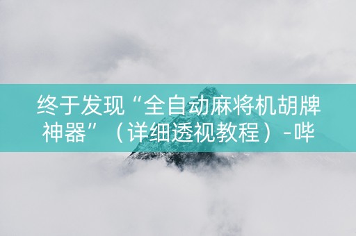 终于发现“全自动麻将机胡牌神器”（详细透视教程）-哔哩哔哩