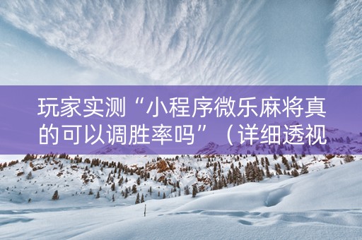 玩家实测“小程序微乐麻将真的可以调胜率吗”（详细透视教程）-哔哩哔哩