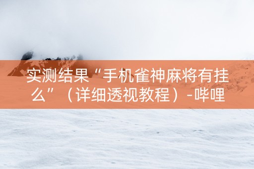实测结果“手机雀神麻将有挂么”（详细透视教程）-哔哩哔哩