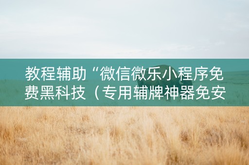 教程辅助“微信微乐小程序免费黑科技（专用辅牌神器免安装）