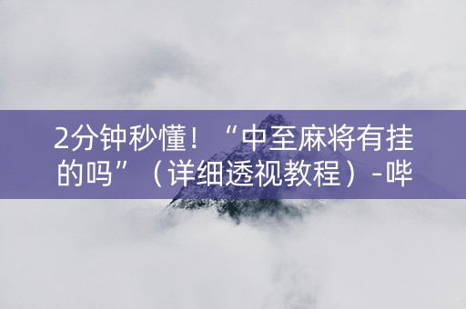2分钟秒懂！“中至麻将有挂的吗”（详细透视教程）-哔哩哔哩