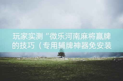 玩家实测“微乐河南麻将赢牌的技巧（专用辅牌神器免安装）