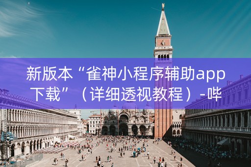 新版本“雀神小程序辅助app下载”（详细透视教程）-哔哩哔哩