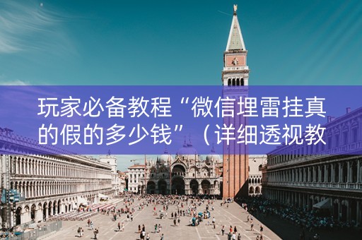玩家必备教程“微信埋雷挂真的假的多少钱”（详细透视教程）-哔哩哔哩