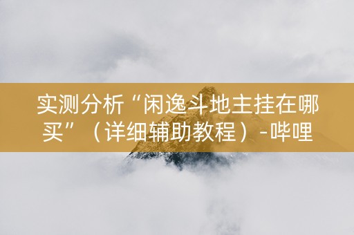 实测分析“闲逸斗地主挂在哪买”（详细辅助教程）-哔哩哔哩